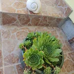 Sara Apartament Tribalj
