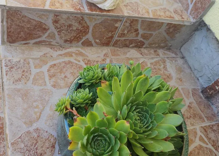 Sara Apartman Tribunj (Sibenik-Knin)