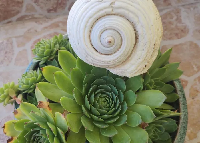 Sara Apartman Tribunj (Sibenik-Knin)